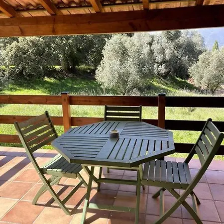 Kalliste Дом отдыха Sollacaro