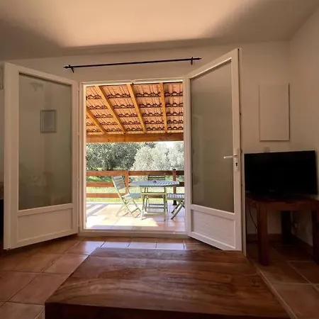 Maison Au Calme Avec Piscine Et Climatisation Sollacaro