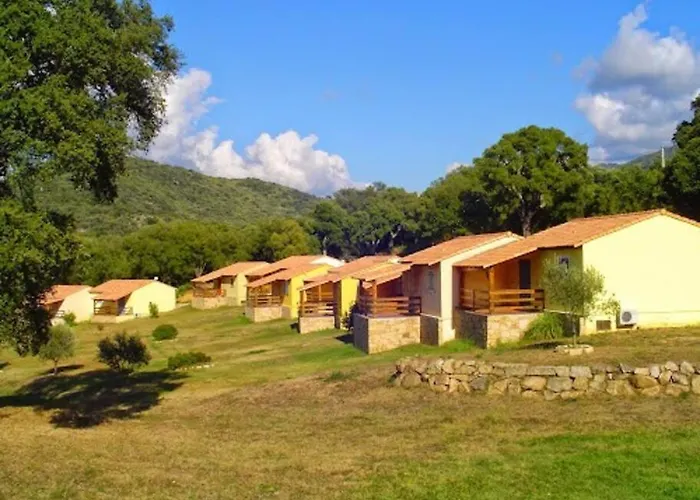 Kalliste * Sollacaro